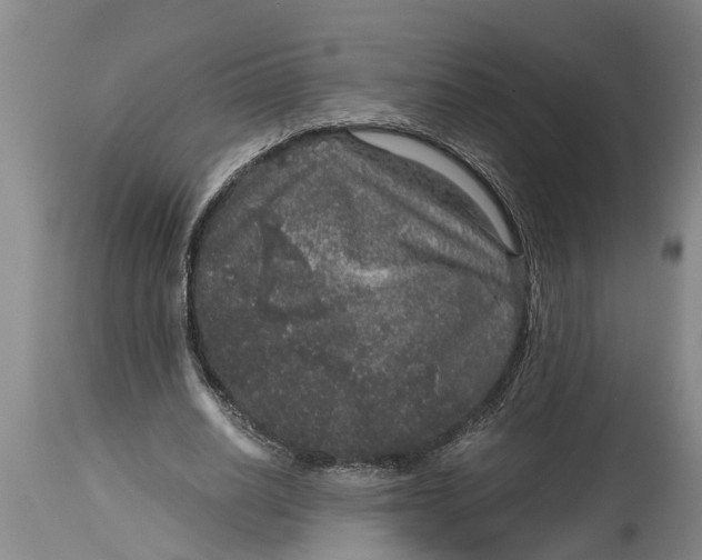 X0000115120630200911171329