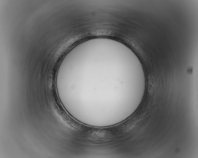 X0000115120631200911171329