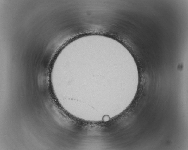 X0000115120632200911171329