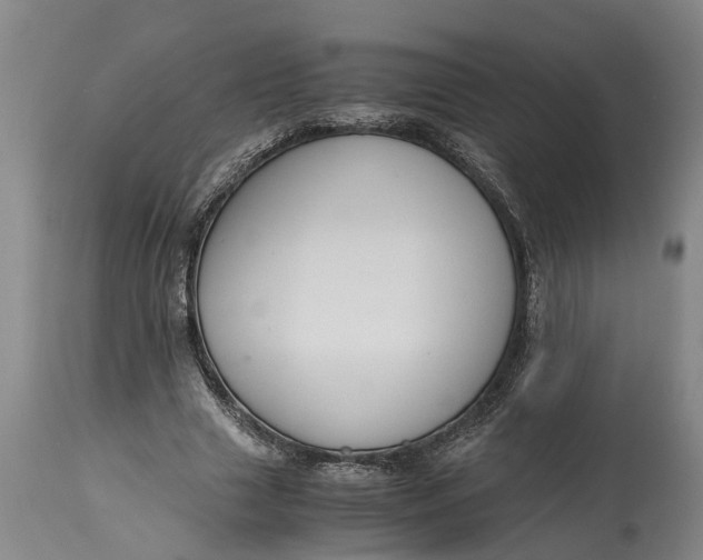X0000115120633200911171329