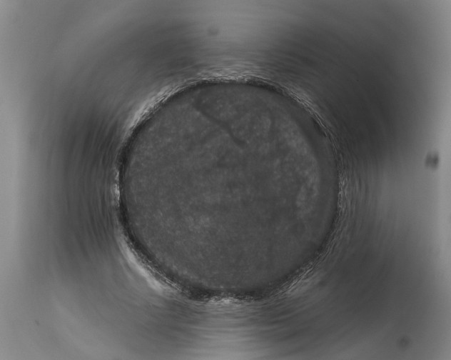 X0000115120634200911171329