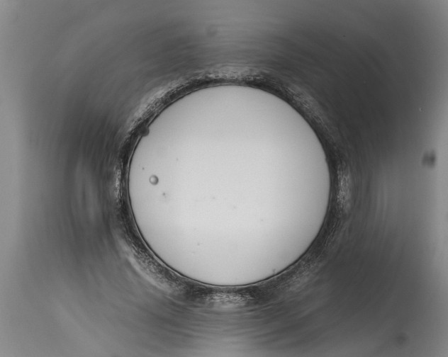 X0000115120636200911171329