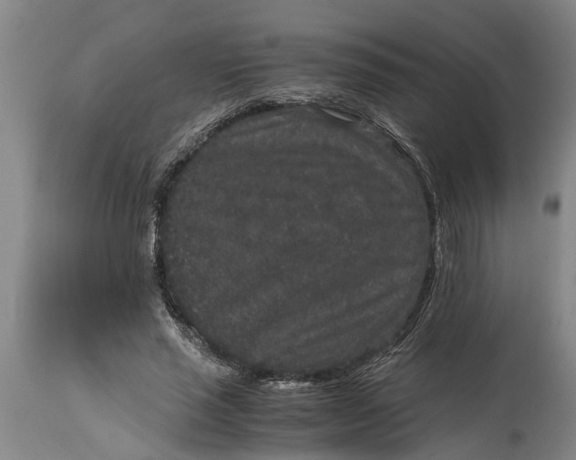 X0000115120637200911171329