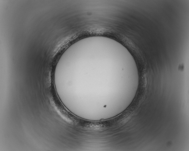 X0000115120638200911171329