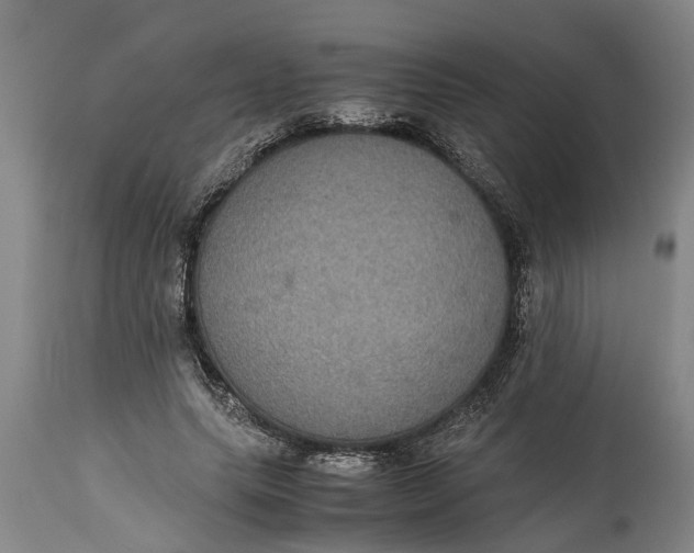 X0000115120639200911171329