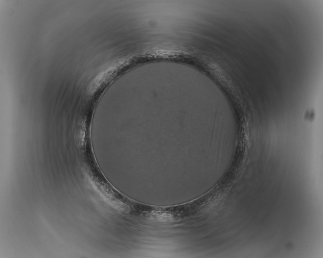 X0000115120640200911171329