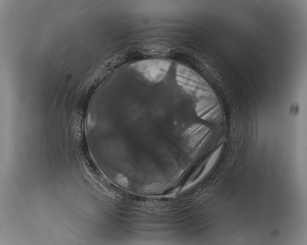 X0000115120641200911171329