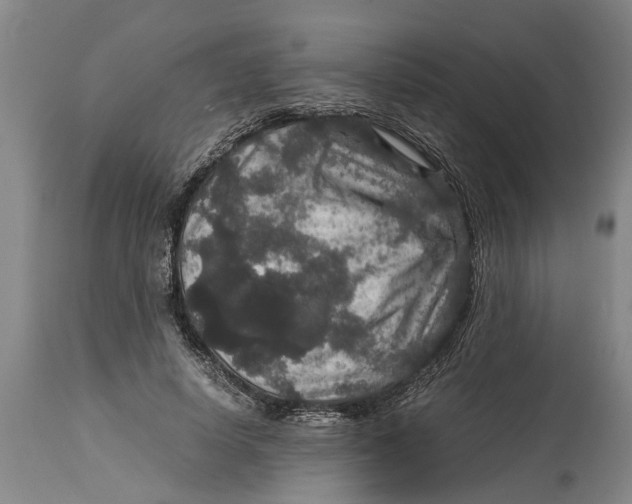 X0000115120642200911171329