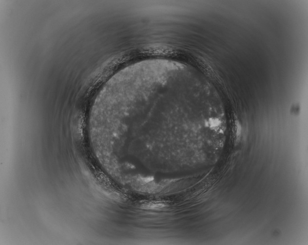 X0000115120643200911171329