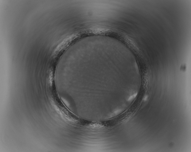 X0000115120644200911171329