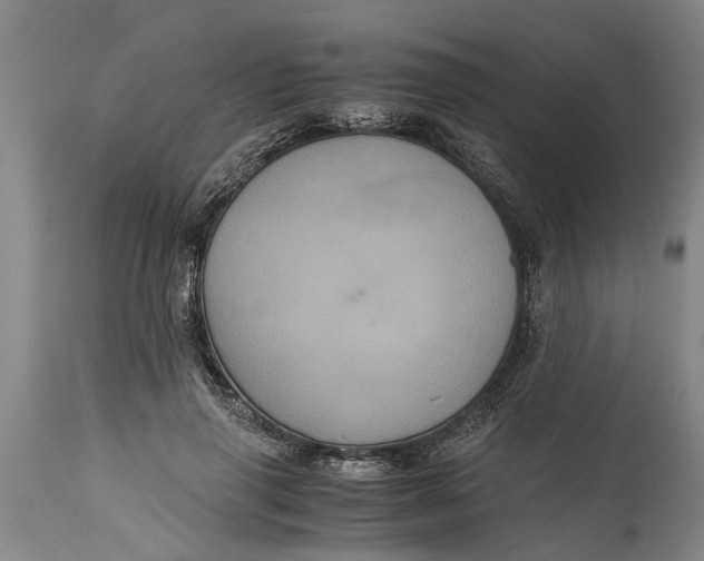 X0000115120645200911171329