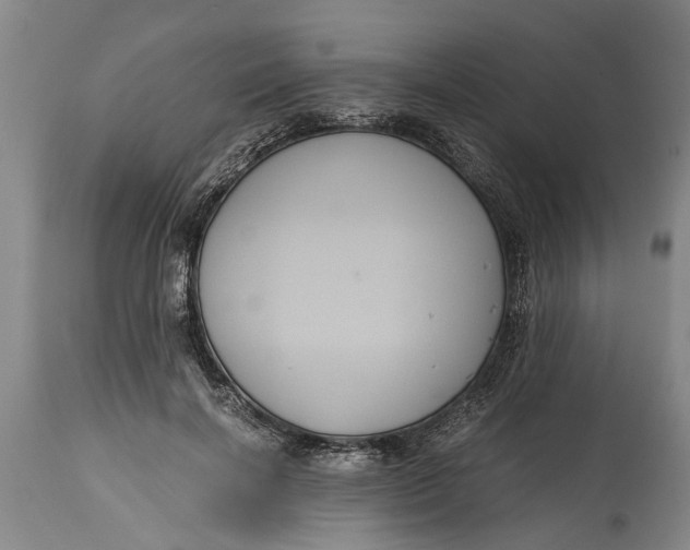 X0000115120646200911171329