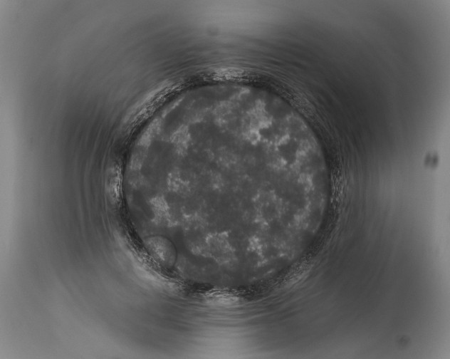 X0000115120648200911171329