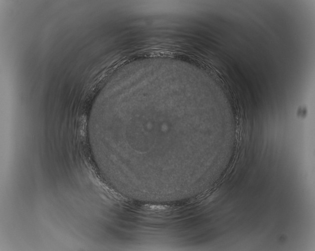 X0000115120649200911171329