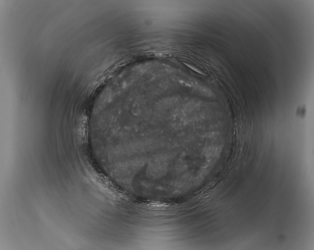 X0000115120650200911171329