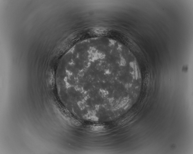 X0000115120651200911171329
