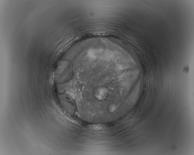 X0000115120652200911171329