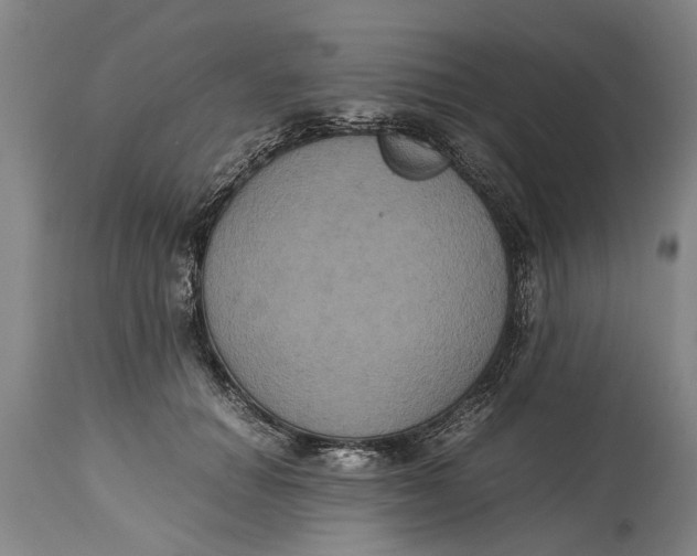 X0000115120654200911171329