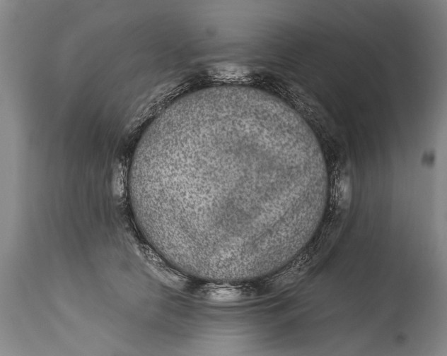 X0000115120658200911171329