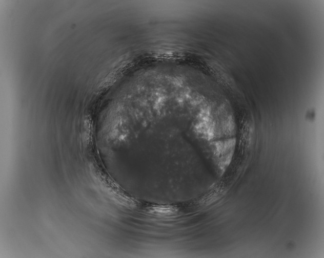 X0000115120659200911171329