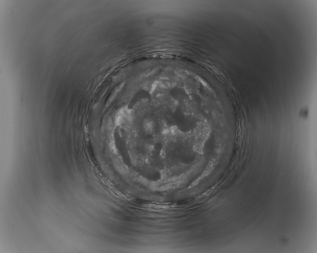 X0000115120661200911171329