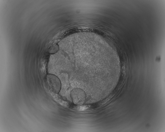 X0000115120662200911171329