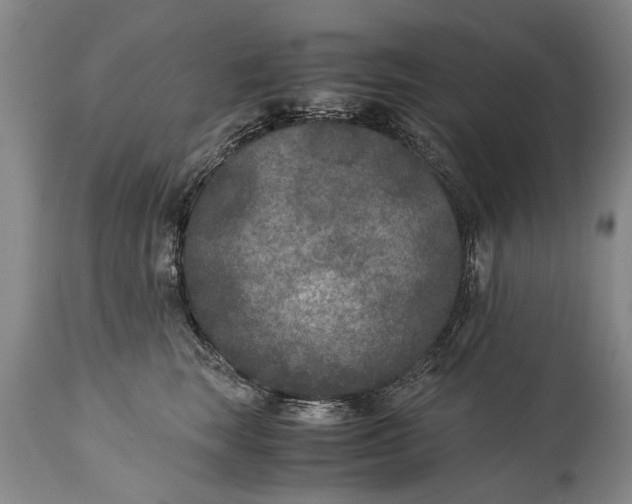 X0000115120663200911171329