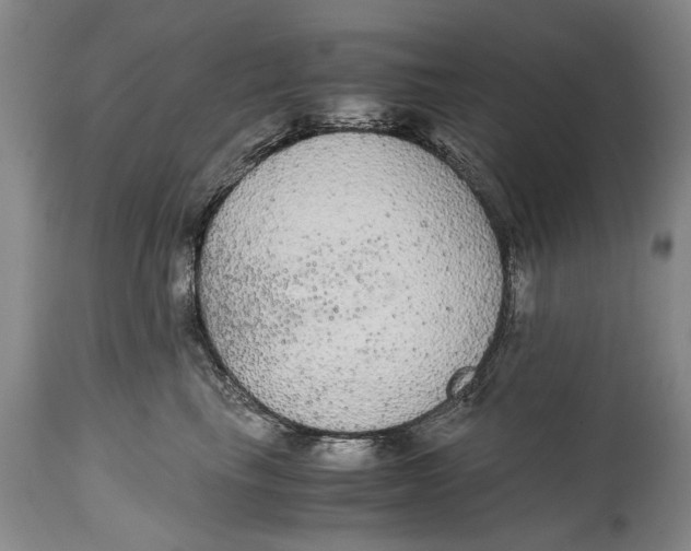 X0000115120665200911171329