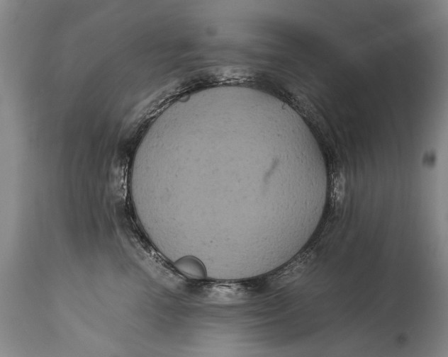 X0000115120666200911171329