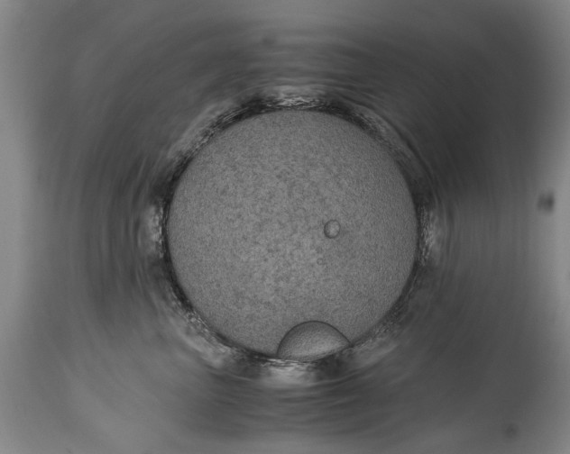 X0000115120667200911171329