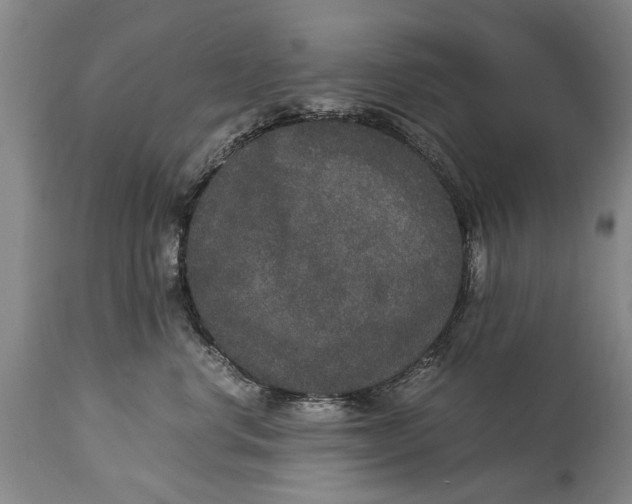 X0000115120668200911171329