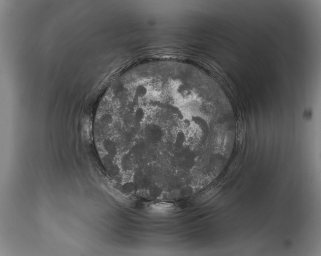 X0000115120669200911171329