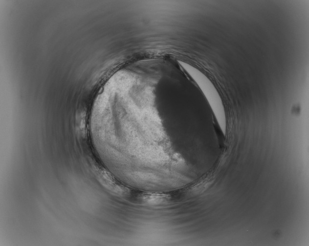 X0000115120670200911171329