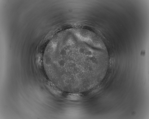X0000115120671200911171329
