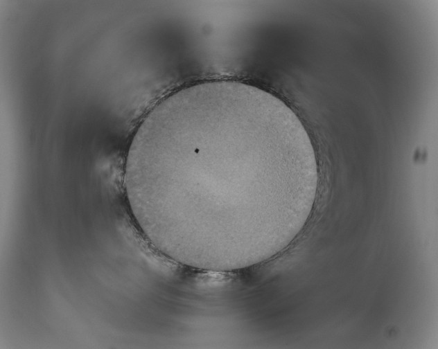 X0000115120672200911171329