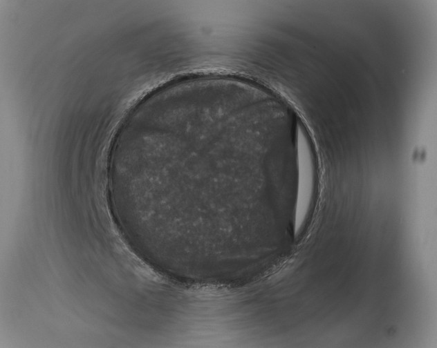 X0000115120673200911171328