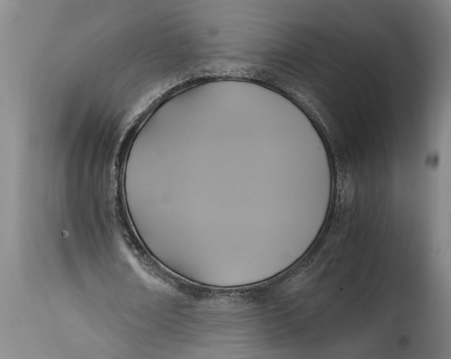 X0000115120674200911171328