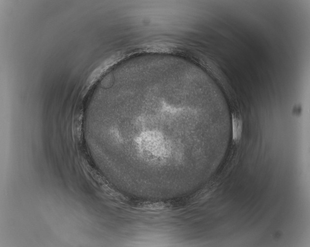 X0000115120675200911171328