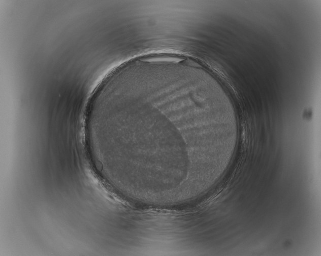 X0000115120676200911171328