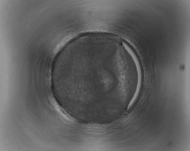 X0000115120677200911171328