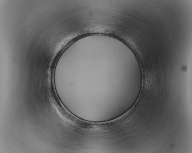 X0000115120678200911171328