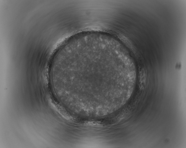 X0000115120680200911171328