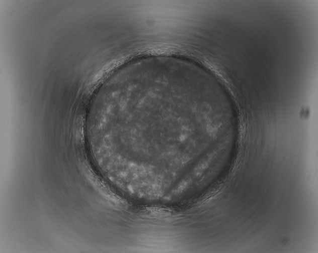 X0000115120681200911171328
