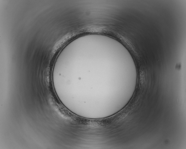 X0000115120682200911171328