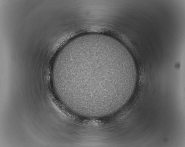 X0000115120683200911171328
