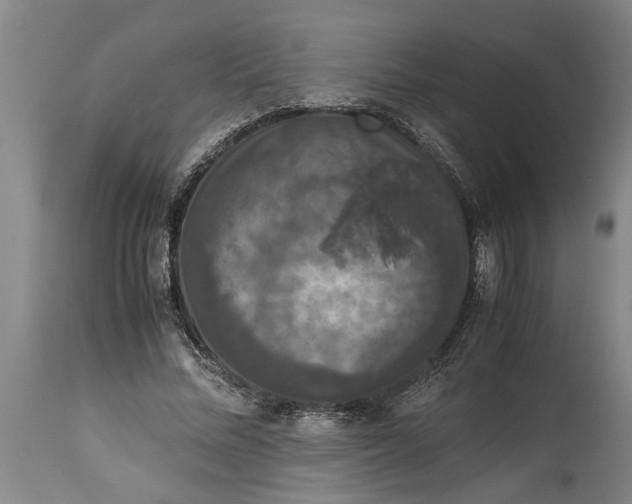 X0000115120684200911171328