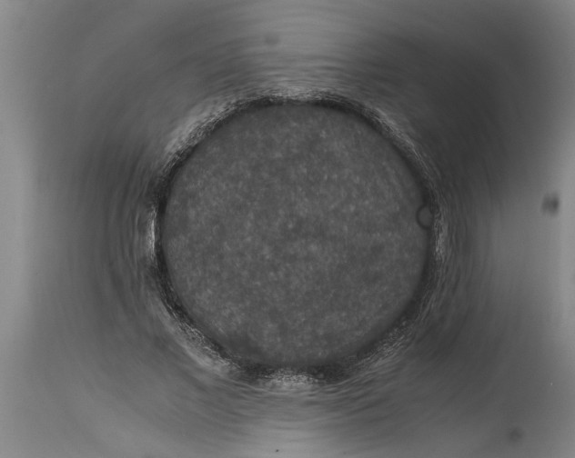 X0000115120685200911171328