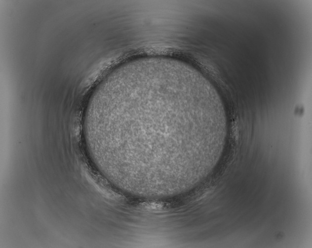 X0000115120687200911171328