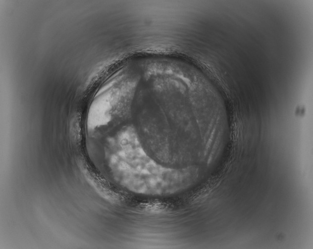 X0000115120688200911171328