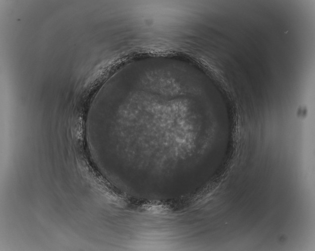 X0000115120689200911171328